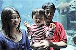 Japanese couple with his child watching aquarium