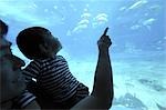 Father with his son watching fish aquarium