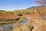 View of River Passing From Okunikko Field in Tochigi Prefecture, Japan