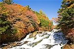Krone-Wasserfall in der Präfektur Tochigi, Japan