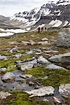 Hikers Walking in Mountain Range, Canada