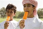 Two boys having ice lollies