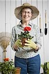 Porträt eine ältere Frau hält eine Topfpflanze