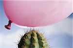 Gros plan d'un ballon au-dessus d'un cactus