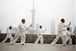 Group doing tai chi outdoors with city skyline in background