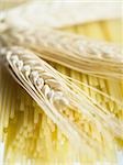 Close-up of wheat stalks and uncooked spaghetti