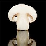 Mushroom slice with reflection