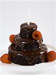 Gâteau au chocolat avec framboises et bougie
