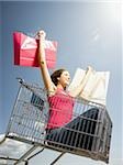 Frau im Warenkorb im Freien mit Einkaufstüten lächelnd
