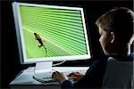 Rear view of boy at computer with lizard on monitor