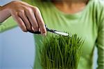 Woman trimming grass with scissors.