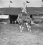 1950s WOMAN CIRCUS PERFORMER RIDING STANDING ASTRIDE TWO HORSES OUTSIDE TENT
