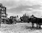 1940s HARVEST OATS LAUREL MONTANA HORSES WAGONS FARM HANDS WORKERS MACHINERY REAP REAPING GRAIN HAY STRAW FARMERS MEN CROP