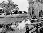 LINE TONE OF FARM SCENE WITH FARMER PLOWING & TREES & STREAM IN FOREGROUND