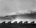 ANNÉES 1940 LIGNE DE CAMIONS MILITAIRES AU COUCHER DU SOLEIL