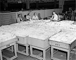 1950s 4 MEN SORT SORTING LETTERS MAIL FROM LARGE BINS FULL STUFFED WITH MANY ENVELOPES