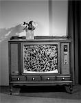 1960s HEAD-ON VIEW OF TV SET WITH CROWDS IN BLEACHERS ON SCREEN