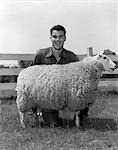 années 1950 garçon homme TEEN avec prix mouton Ovis aries ON ferme
