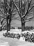 PILE OF SNOW-COVERED FIREWOOD LOGS BETWEEN TWO TREES WITH COUNTRY CHURCH IN BACKGROUND