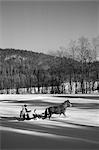 1970s COUPLE RIDING IN CUTTER SLEIGH BEHIND A SINGLE HORSE IN KNEE DEEP SNOW NORTH CONWAY VERMONT USA