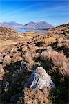 Moorland, Loch Torridon and Liathach, Torridon, Scotland