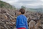Jeune garçon face au paysage dégagée des arbres abattus