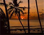 Strand bei Sonnenuntergang, Barbados, Antillen, Karibik, Mittelamerika