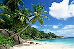 Beach, Anse Intedance, Mahe, Seychelles, océan Indien, Afrique