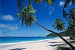 Anse Intedance, Mahe, Seychelles, Seychelles, Afrique