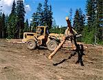 Loading logs, British Columbia, Canada, North America