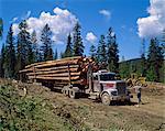 Logging truck, British Columbia, Canada, North America