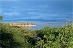 Lake Baringo, Kenya, East Africa, Africa