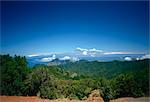 Nationalpark Garajonay, UNESCO-Weltkulturerbe, mit Teneriffa im Hintergrund, La Gomera, Kanaren, Spanien, Atlantik, Europa