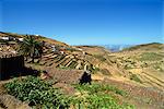 Southeast area near Las Hayas, La Gomera, Canary Islands, Spain, Atlantic, Europe