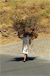 Woman carrying large brushwood bundle on her head, near Las Hayas, La Gomera, Canary Islands, Spain, Atlantic, Europe
