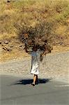 Femme portant un gros fagot sur la tête, près de Las Hayas, La Gomera, Iles Canaries, Espagne, Atlantique, Europe