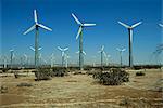 Windmills generating electricity near Palm Springs, California, United States of America, North America