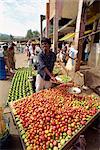 Market vendor selling tomatoes, main market area, Kandy, Sri Lanka, Asia