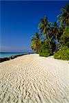 Strand, Nakatchafushi, Malediven, Indischer Ozean