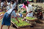 Market vendor selling limes, main market area, Kandy, Sri Lanka, Asia