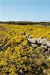 Sainte-Agnès, îles de Scilly, Royaume-Uni, Europe