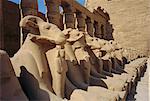 Temple de Karnak, Louxor, en Egypte, en Afrique du Nord