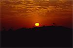 Coucher de soleil sur les dunes près de Khimsar, Rajasthan État, Inde, Asie