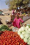 Vegetable stall, Jodhpur, Rajasthan, India