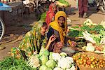 Women street vendors in market, Deogarh, Rajasthan state, India, Asia