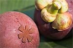 Close-up of Purple Mangosteen