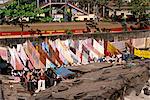 Ghâts Dhobi ou lessive, Mumbai (Bombay), Inde, Asie