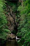 Gorges of the River Cere, Cantal mountains, Auvergne, France, Europe