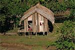 People waving from their thatched palm house on the waters edge, Caboclos, in the Breves Narrows in the Amazon area of Brazil, South America