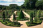 Bagatelle rose garden, Bois de Boulogne, Paris, France, Europe